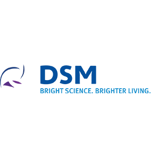 DSM